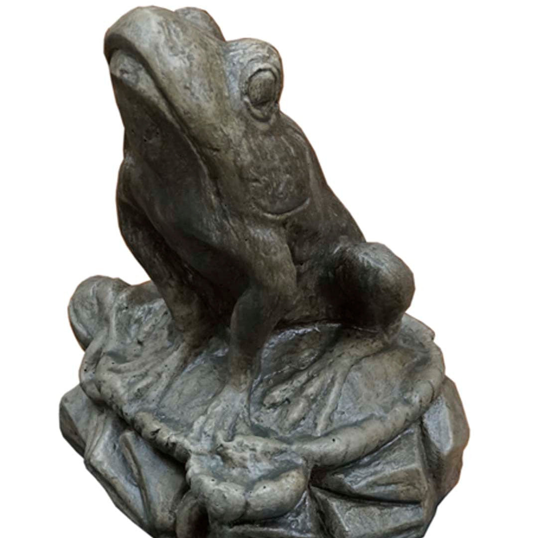 Large Toad Head Up Statue