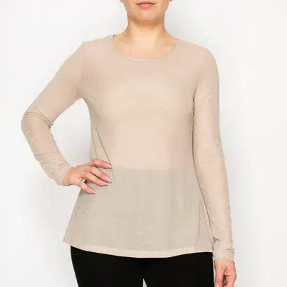 Sparkly Long Sleeve Sheer Mesh Top