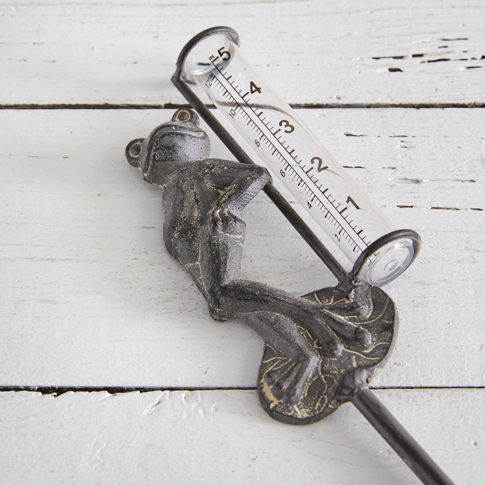 Frog Rain Gauge Garden Pick