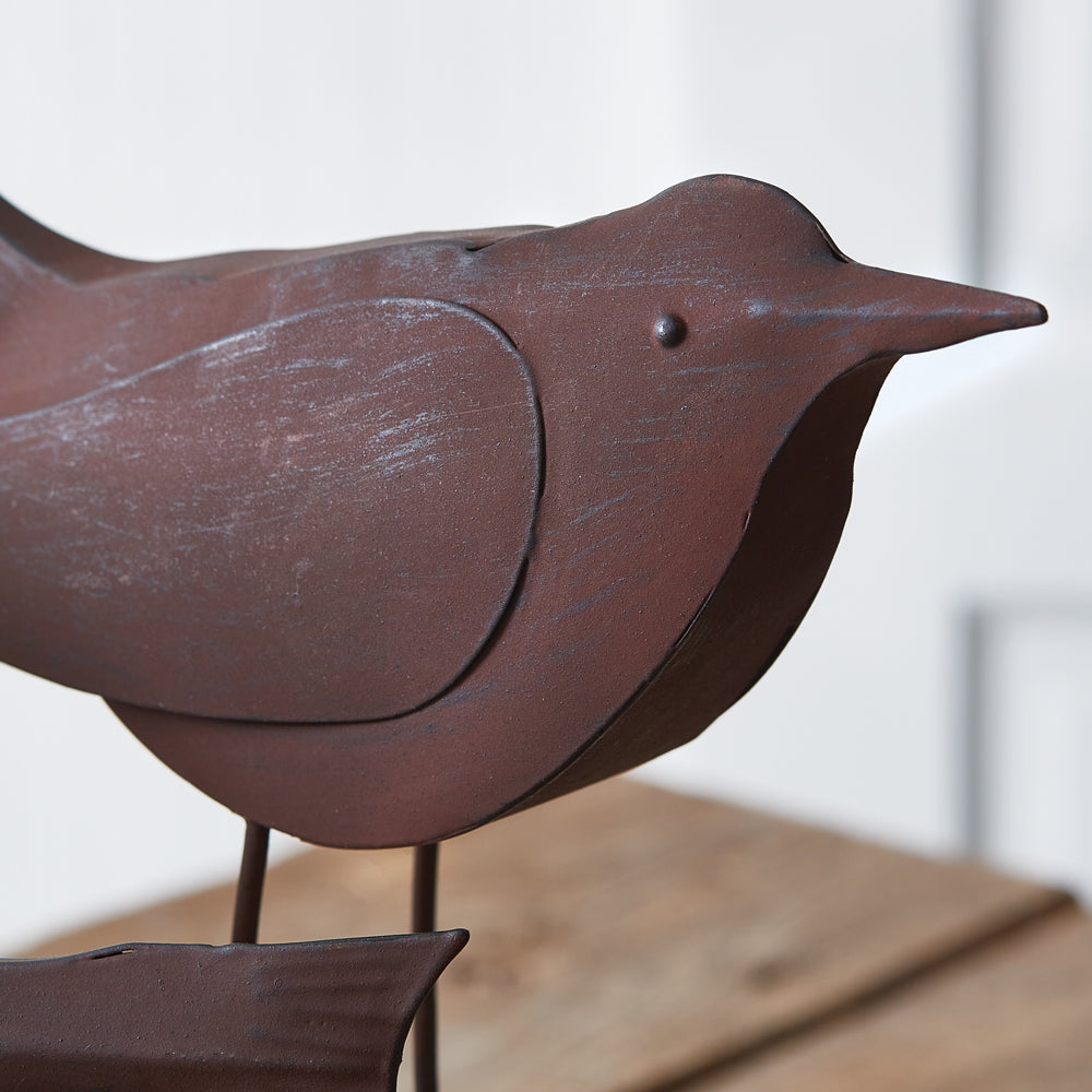 Oversized Songbird