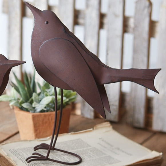 Oversized Songbird