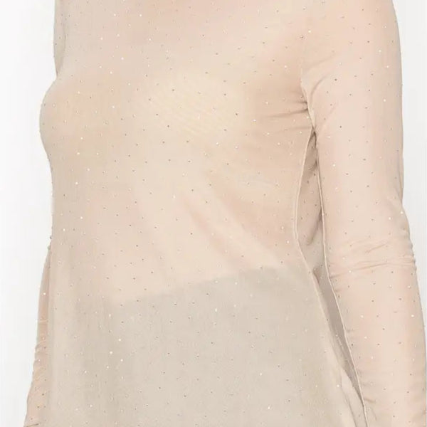 Sparkly Long Sleeve Sheer Mesh Top