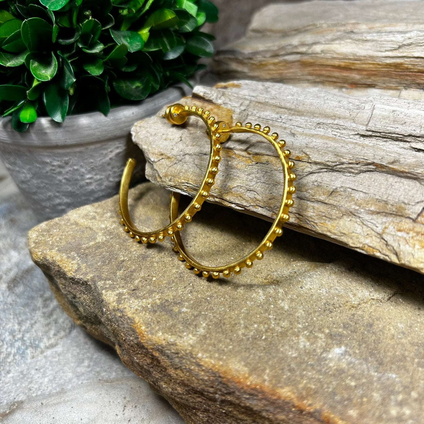 SoHo Gold Hoop Earrings