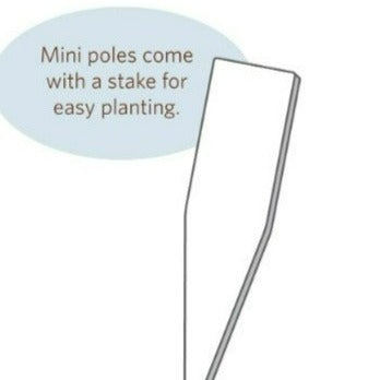 Choose Your Friends 13" Mini Art Pole