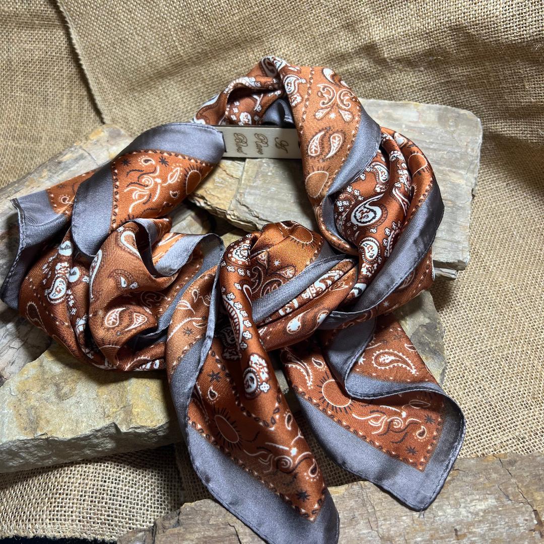 Rust Copper with Deep Grayish Tone Taupe Trim Paisley Wild Rag