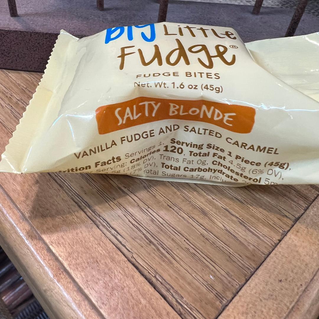Grab N' Go Fudge Bites (1.6oz) - Salty Blonde®