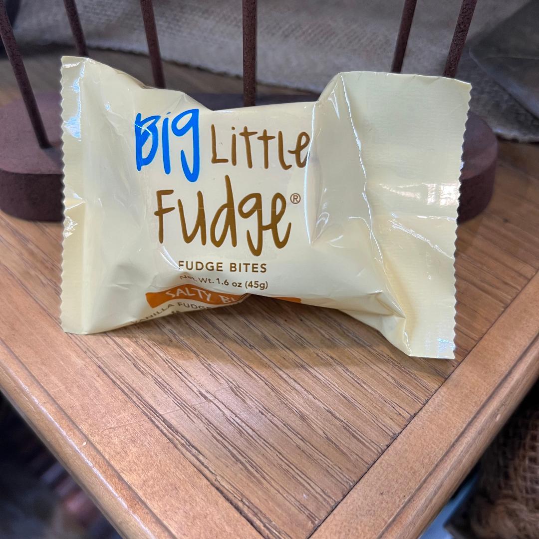 Grab N' Go Fudge Bites (1.6oz) - Salty Blonde®