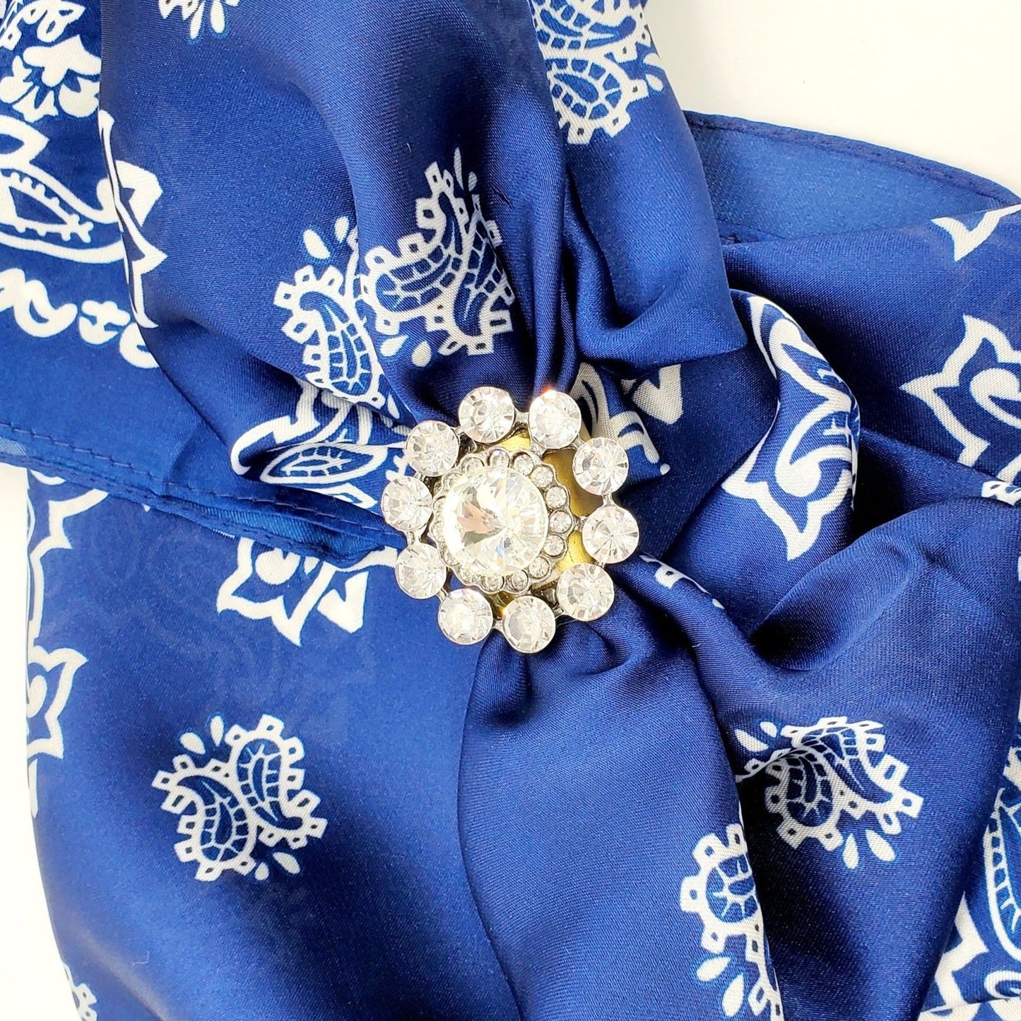 Crystal Leather Wild Rag Scarf/ Tee Shirt Slide