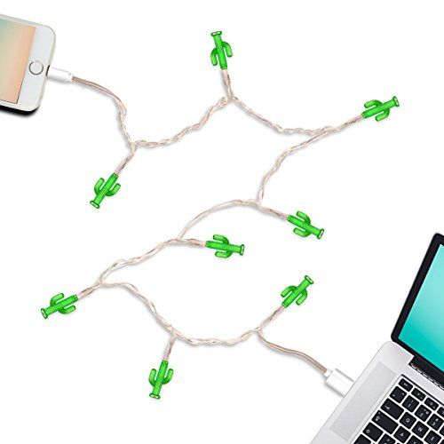 Cactus iPhone Charger