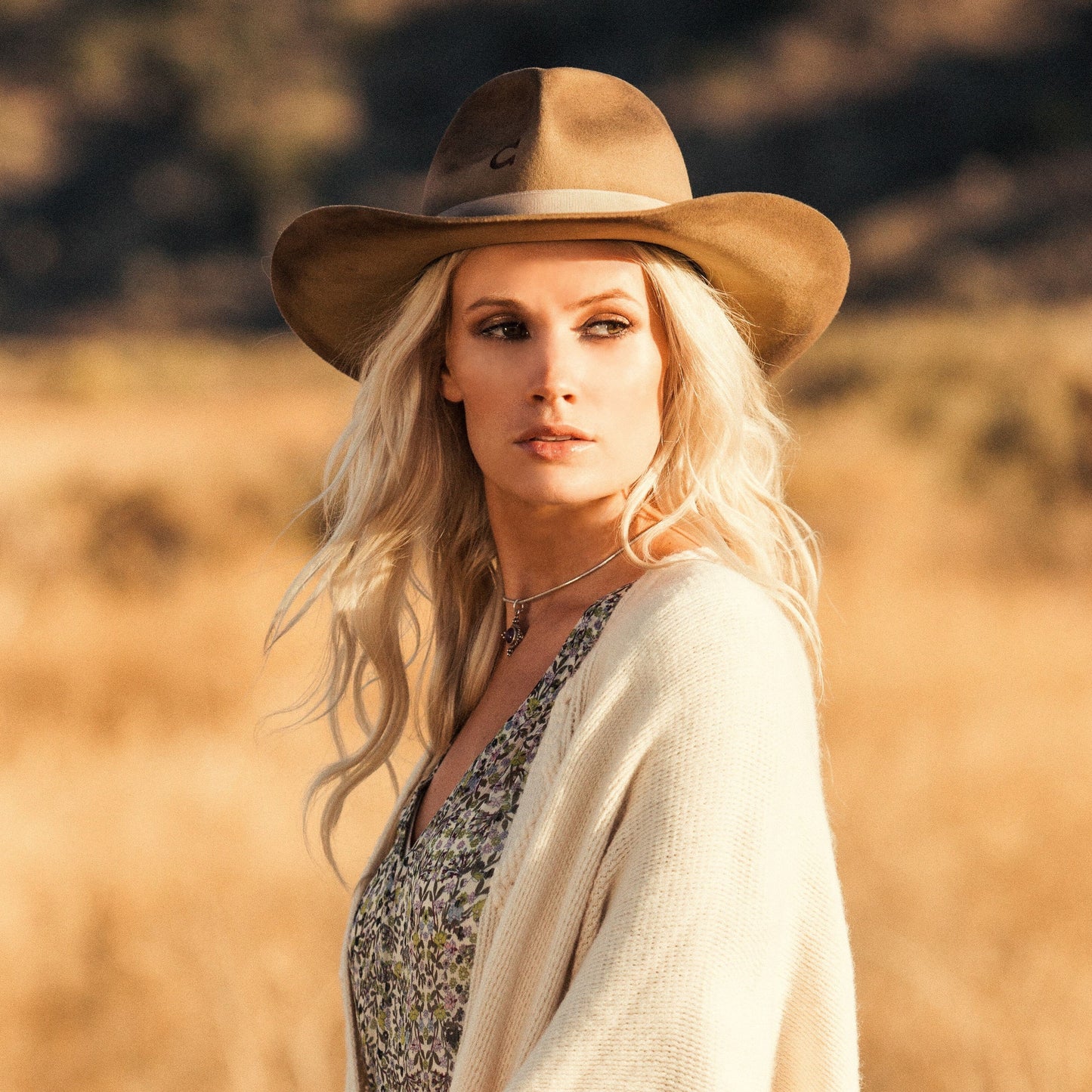 Desperado Charlie 1 Horse Wool Hat