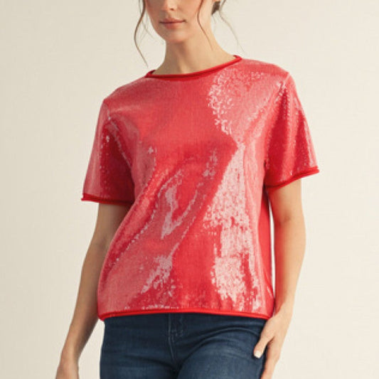 Tiny Sequins Covered Sweater Top