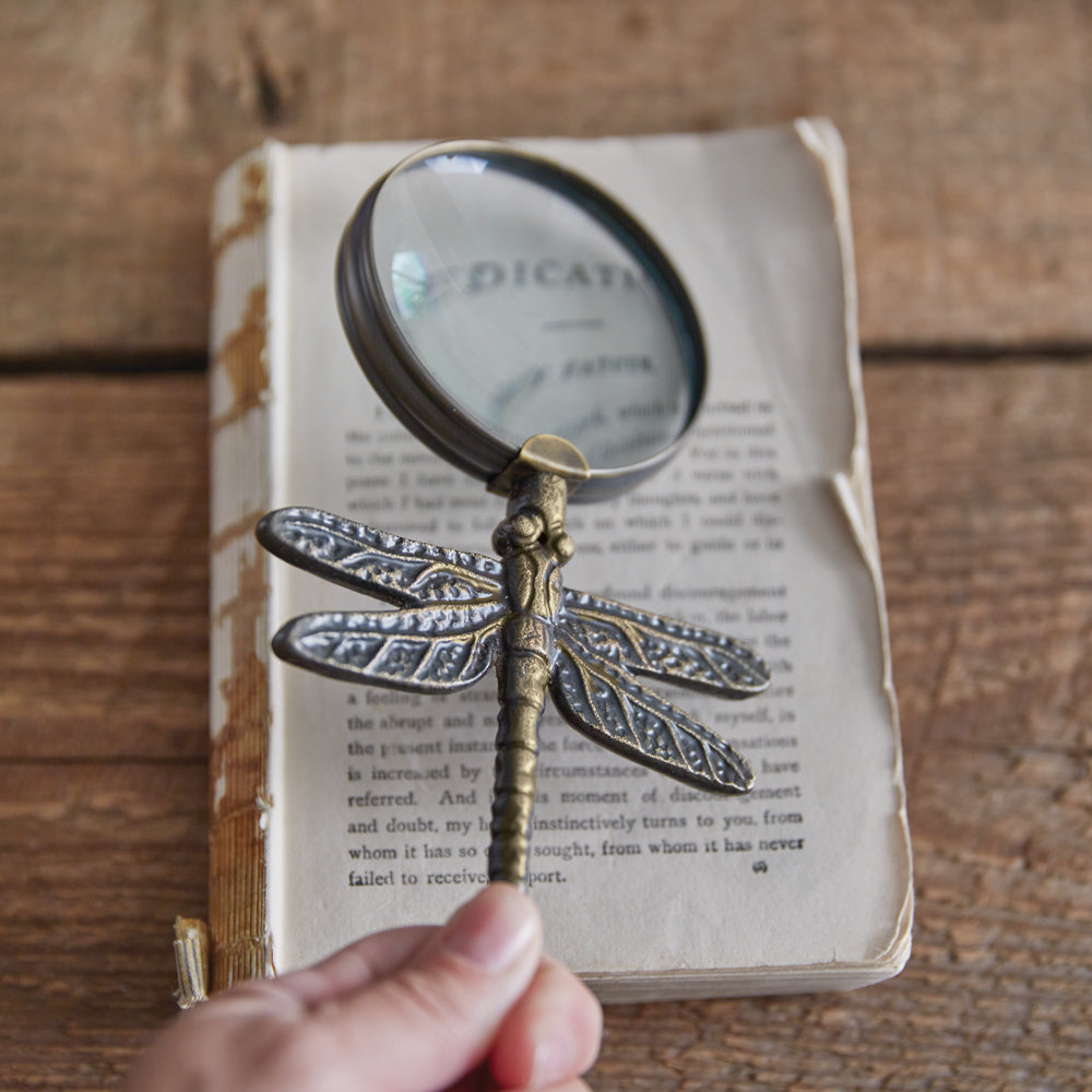 Dragonfly Magnifying Glass