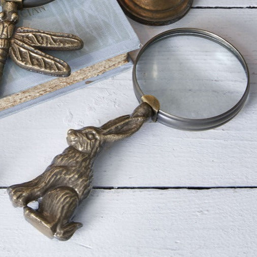 Hare Magnifying Glass