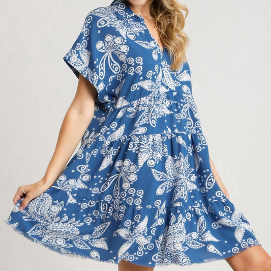 Paisley Print A-Line Tiered Collared Dress