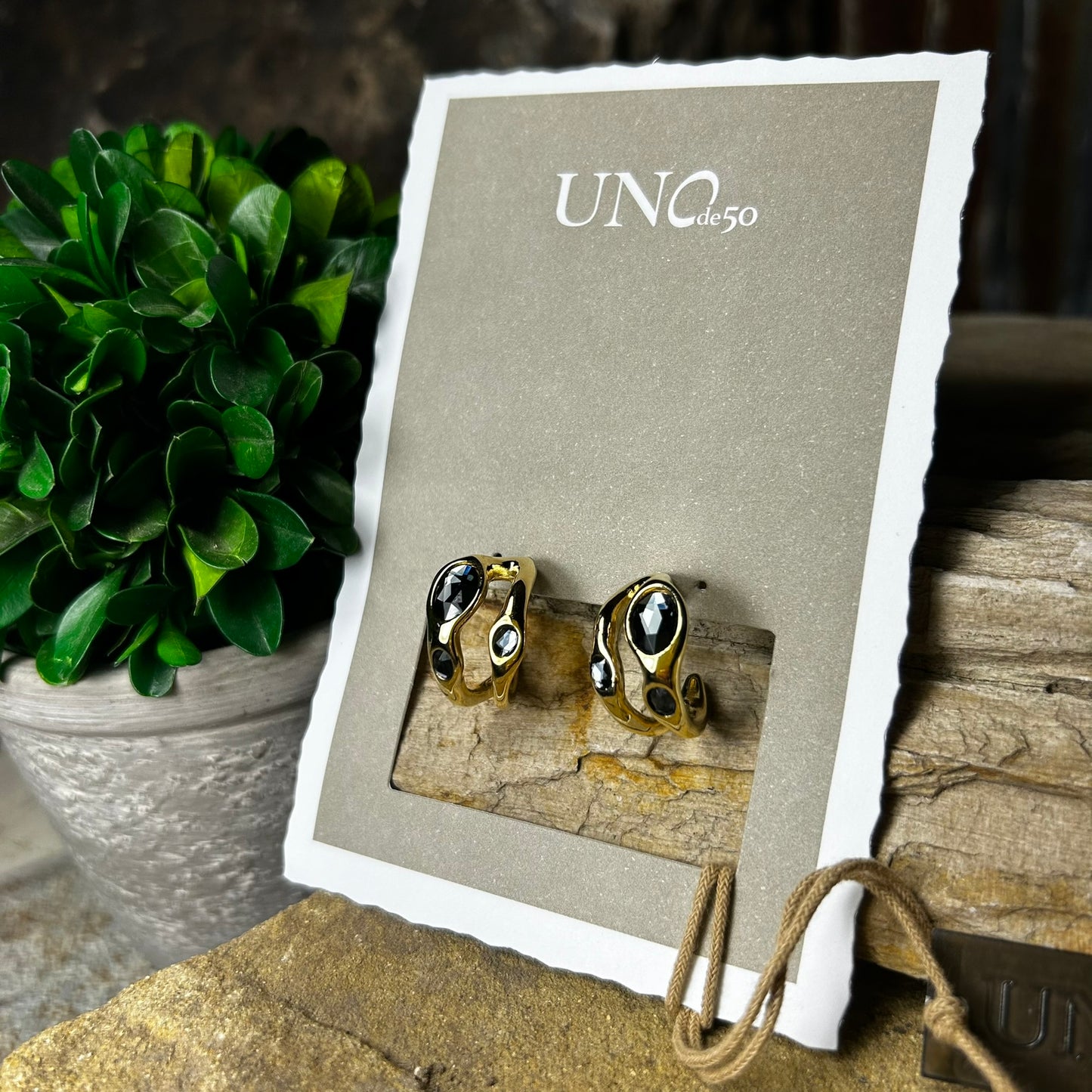 Gold Sunshine Earrings