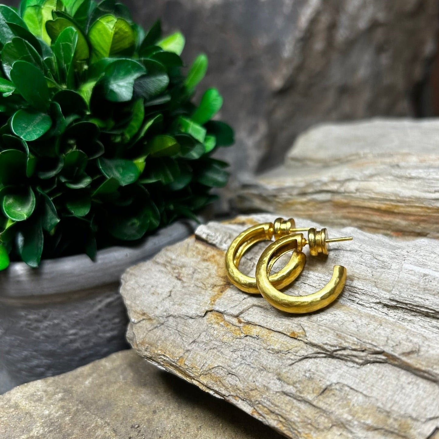 Havana Gold Hoop Earrings