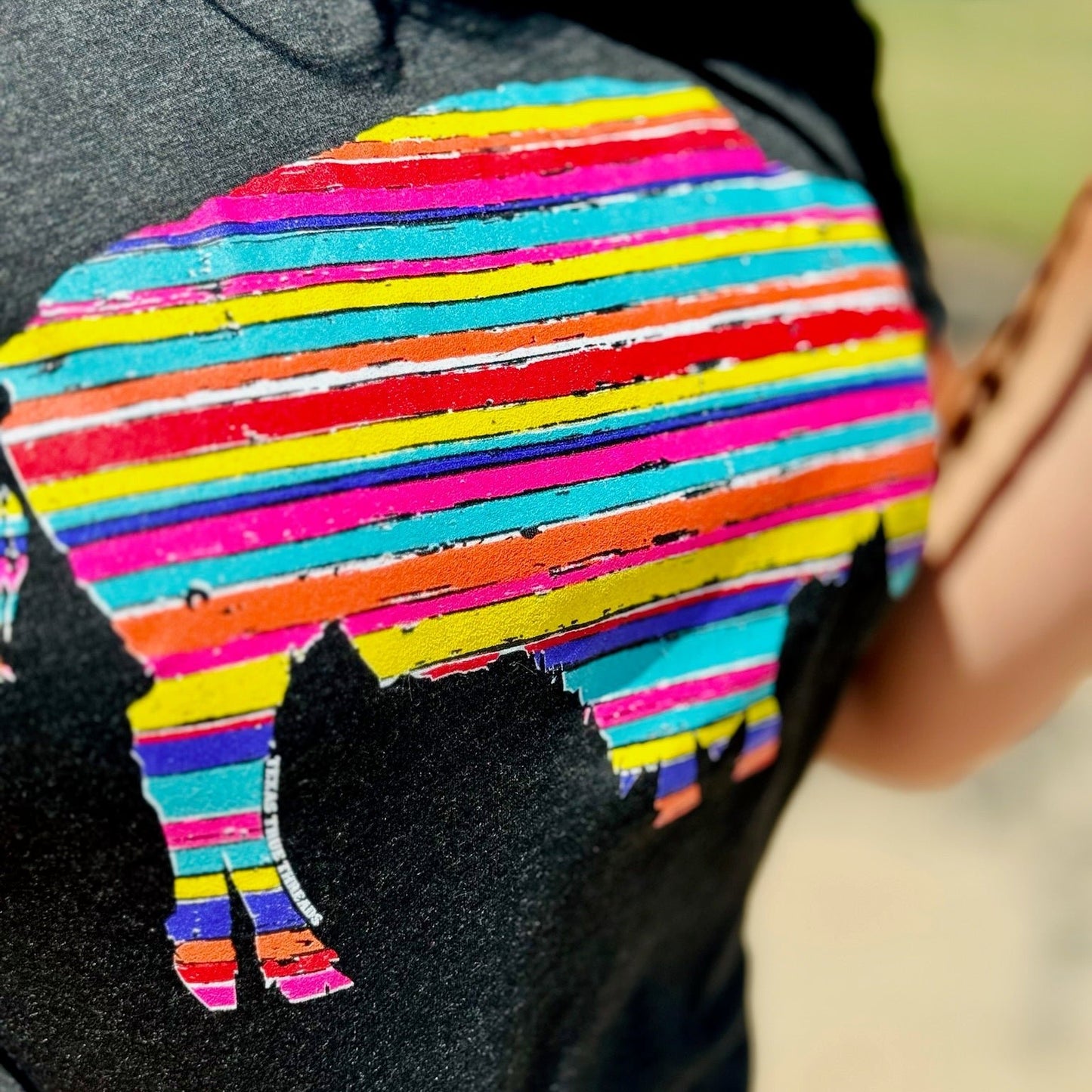 Serape Buffalo Tee