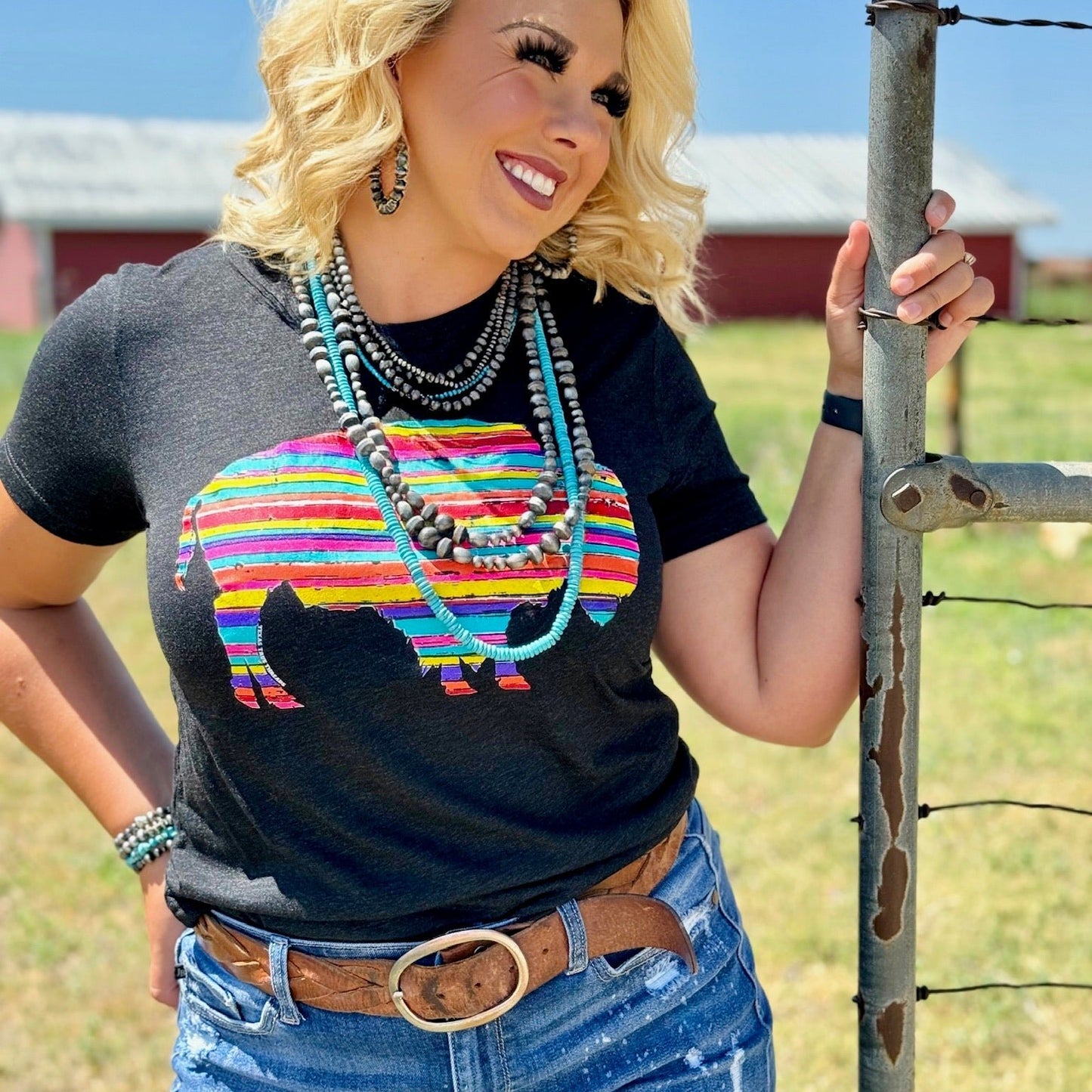 Serape Buffalo Tee