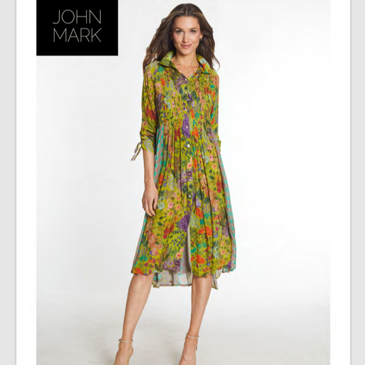 Wire Collar Cinch Tie Sleeve Button Front Dress by John Mark