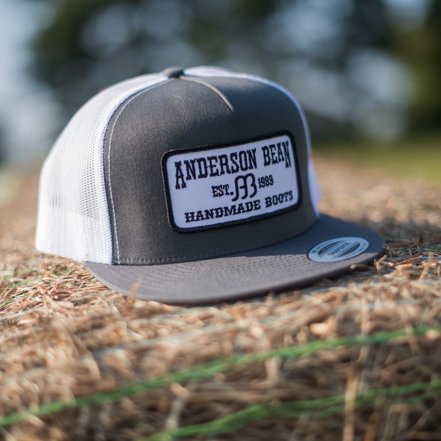 Anderson Bean Charcoal and White Cap