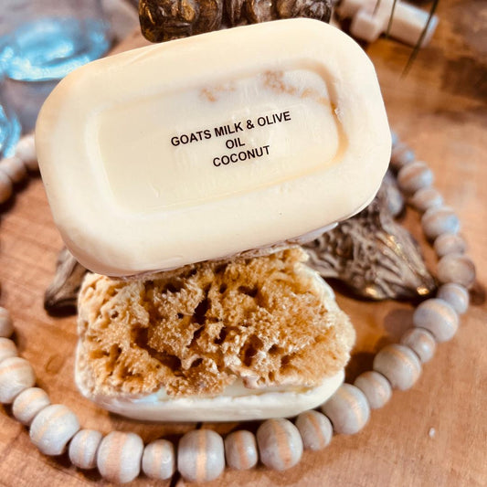 Goat's Milk & Olive Oil Coconut Soap w/Sea Sponge