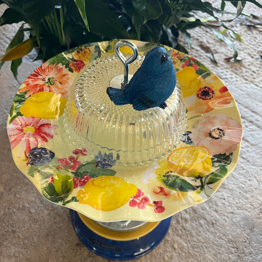 Hanging Bird Feeder Blue Bird