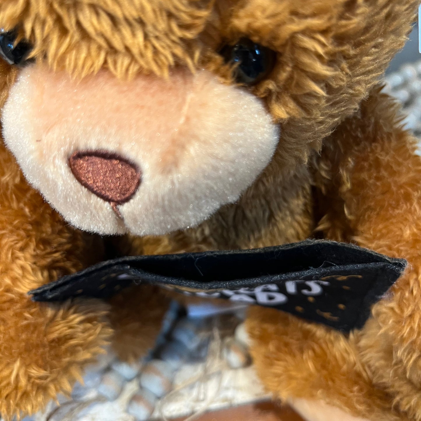 Plush Congrats Grad Bear