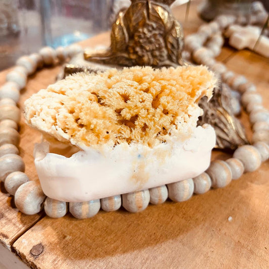 Goat's Milk & Olive Oil Oatmeal Honey Soap w/Sea Sponge