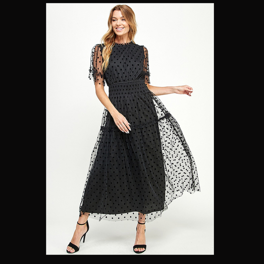 Polka Dot Mesh Midi Dress