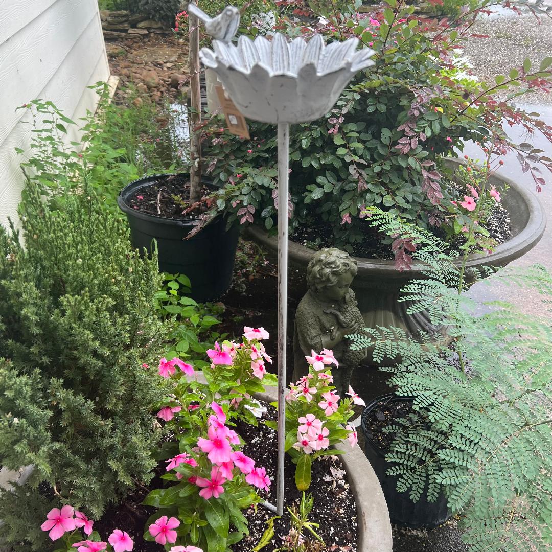 White Daisy Birdfeeder Garden Stake