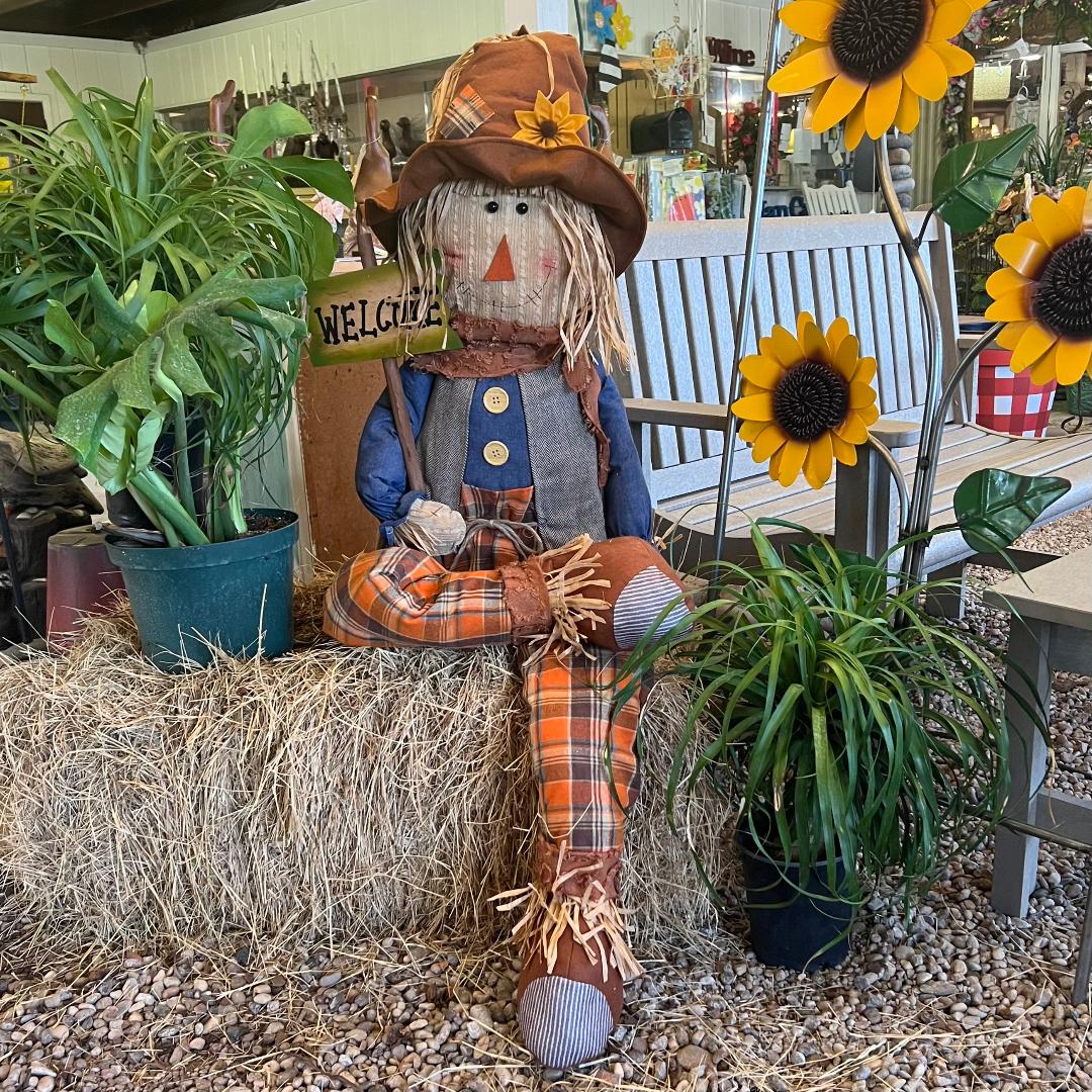Fall Scarecrow with Welcome Sign