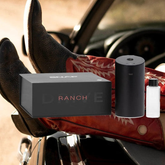 Ranch Drive Touchless Mist Sanitizer Device